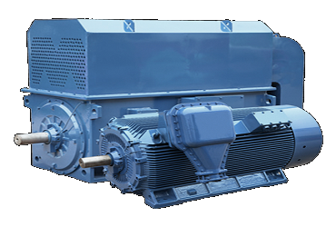 Medium & High Voltage Motors